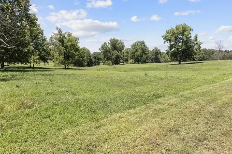 359 E Dade 74, Greenfield, MO 65661 photo 3