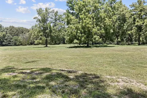 359 E Dade 74, Greenfield, MO 65661 photo 10
