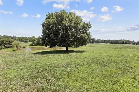 359 E Dade 74, Greenfield, MO 65661 photo 18