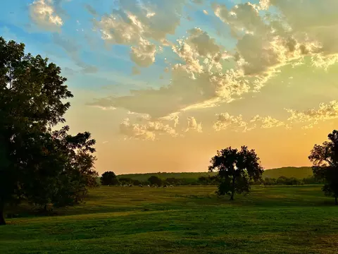 359 E Dade 74, Greenfield, MO 65661 photo 47