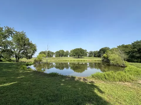 359 E Dade 74, Greenfield, MO 65661 photo 2