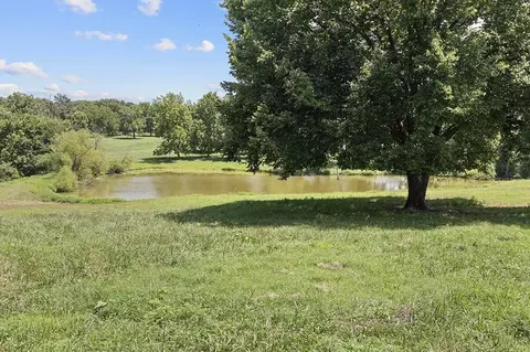 359 E Dade 74, Greenfield, MO 65661 photo 19