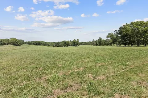 359 E Dade 74, Greenfield, MO 65661 photo 21