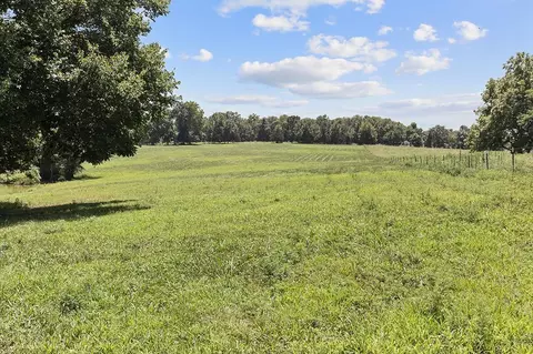 359 E Dade 74, Greenfield, MO 65661 photo 20