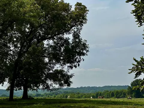 359 E Dade 74, Greenfield, MO 65661 photo 52