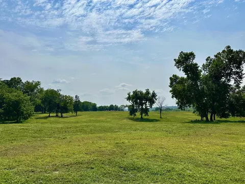 359 E Dade 74, Greenfield, MO 65661 photo 49