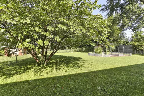 Exterior - 1909 S Pickwick Ave, Springfield, MO 65804 photo 6 of 6