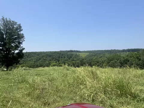 View/Area - 7382 Route Ee Hwy, Anderson, MO 64831 photo 2 of 2