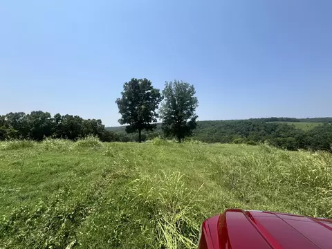 Other - 7382 Route Ee Hwy, Anderson, MO 64831 photo 12 of 13