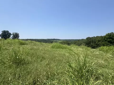 View/Area - 7382 Route Ee Hwy, Anderson, MO 64831 photo 1 of 2