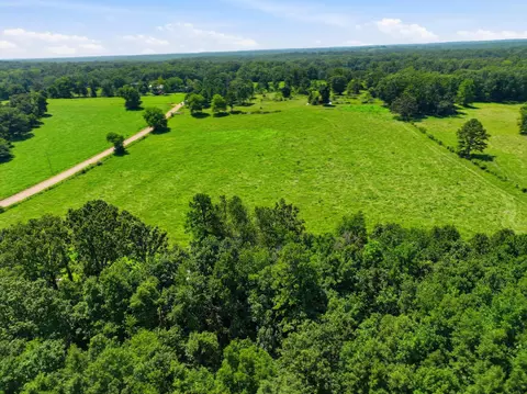 000 County Road 3190, Mountain View, MO 65548 photo 2
