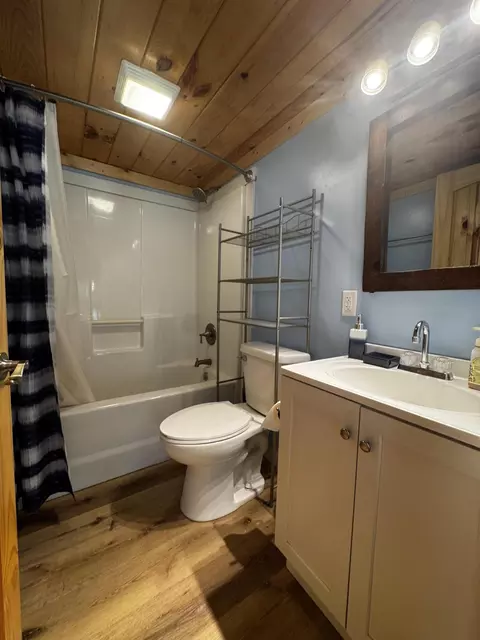 Bath - 4006 Private Drive 3170, Ava, MO 65608 photo 4 of 6