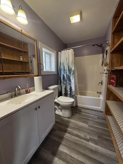 Bath - 4006 Private Drive 3170, Ava, MO 65608 photo 6 of 6