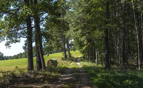 Tract 4 Private Drive #2336, Norwood, MO 65717