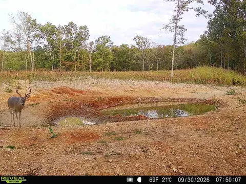 000 76-126, Norwood, MO 65717 photo 7