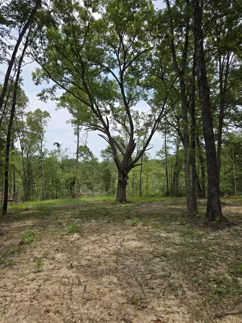 000 76-126, Norwood, MO 65717 photo 29