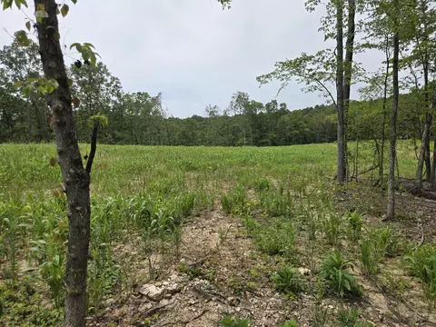 000 76-126, Norwood, MO 65717 photo 28