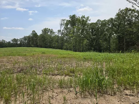 000 76-126, Norwood, MO 65717 photo 11