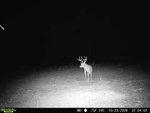000 76-126, Norwood, MO 65717 photo 3