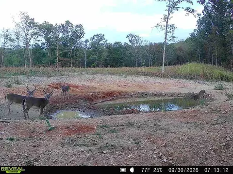 000 76-126, Norwood, MO 65717 photo 6