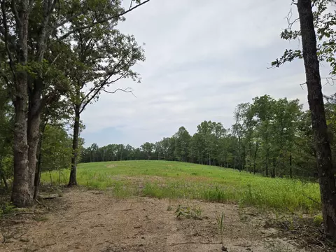 000 76-126, Norwood, MO 65717 photo 9
