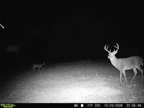 000 76-126, Norwood, MO 65717 photo 2