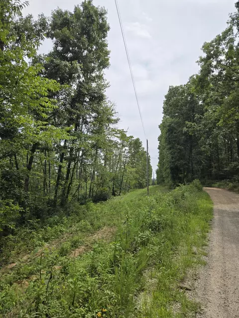 000 76-126, Norwood, MO 65717 photo 17