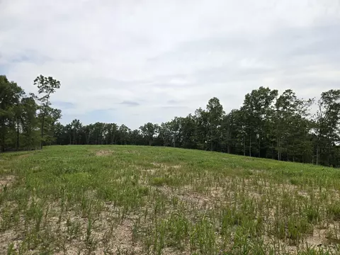 000 76-126, Norwood, MO 65717 photo 12