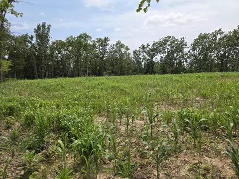 000 76-126, Norwood, MO 65717 photo 27