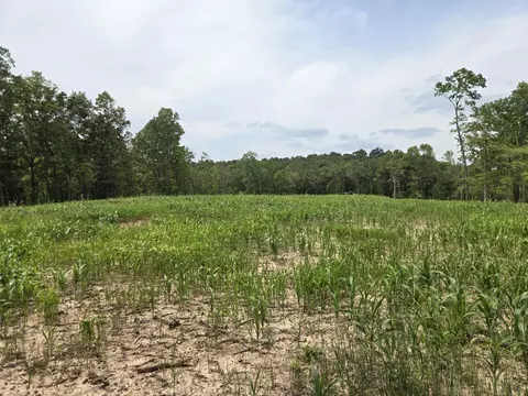000 76-126, Norwood, MO 65717 photo 20
