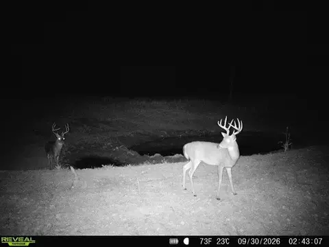000 76-126, Norwood, MO 65717 photo 4