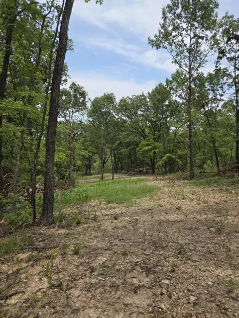 000 76-126, Norwood, MO 65717 photo 33