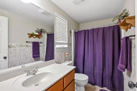 Bath - 1102 E Cobblestone Dr, Ozark, MO 65721 photo 5 of 5