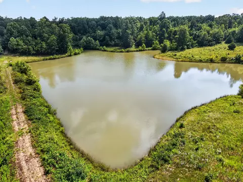 View/Area - 9562 State Hwy A, Patton, MO 63662 photo 7 of 16
