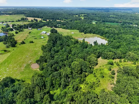 View/Area - 9562 State Hwy A, Patton, MO 63662 photo 15 of 16