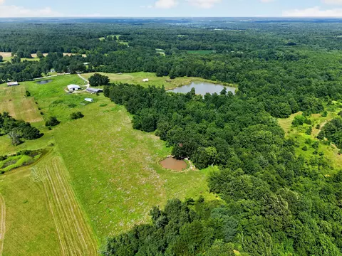 View/Area - 9562 State Hwy A, Patton, MO 63662 photo 16 of 16