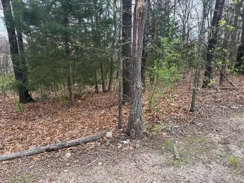 000 Entry Rd #LOT 10, Ridgedale, MO 65739 photo 6
