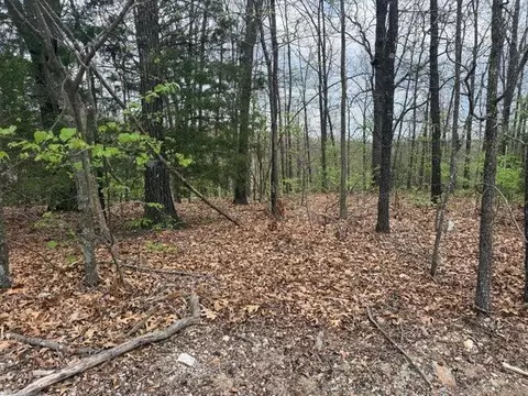 000 Entry Rd #LOT 10, Ridgedale, MO 65739 photo 3