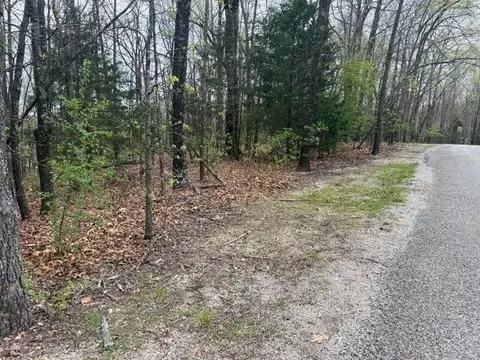 000 Entry Rd #LOT 10, Ridgedale, MO 65739 photo 5