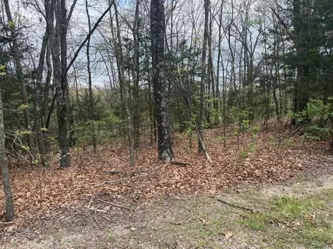 000 Entry Rd #LOT 10, Ridgedale, MO 65739 photo 4