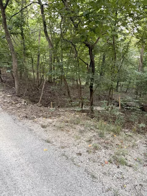 tbd Chiefs Ln, Shell Knob, MO 65747 photo 2