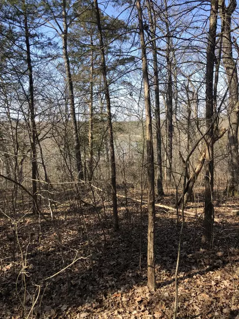 lot1 A Fox Fire Lane Ln, Shell Knob, MO 65747 photo 11