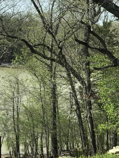 lot1 A Fox Fire Lane Ln, Shell Knob, MO 65747 photo 9