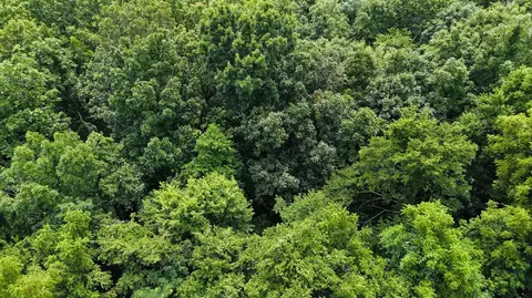 View/Area - 34 E Dade 86, Greenfield, MO 65661 photo 3 of 9