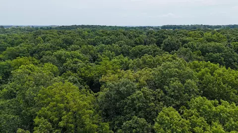 View/Area - 34 E Dade 86, Greenfield, MO 65661 photo 2 of 9