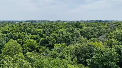 View/Area - 34 E Dade 86, Greenfield, MO 65661 photo 8 of 9