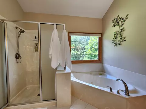 Bath - 231 Kingsgate Rd, Lampe, MO 65681 photo 3 of 11