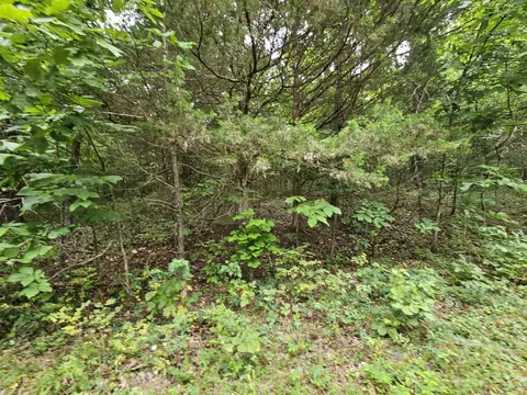 000-18 Ac Westview Rd, Neosho, MO 64850 photo 4