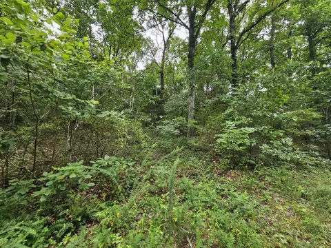 000-18 Ac Westview Rd, Neosho, MO 64850 photo 5
