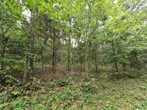 000-18 Ac Westview Rd, Neosho, MO 64850 photo 3